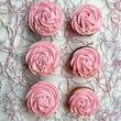 1 Dozen Cupcakes